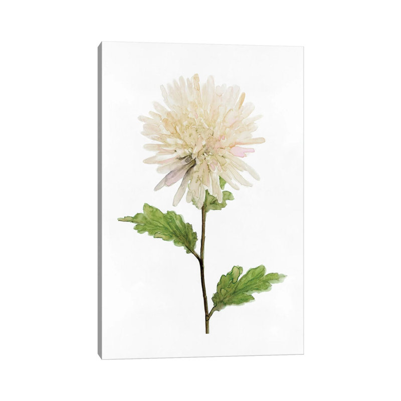White Blossom IV by Stellar Design Studio - Gallery-Wrapped Canvas Giclée on Canvas, Canvas, 20.32 cm H x 30.48 cm W