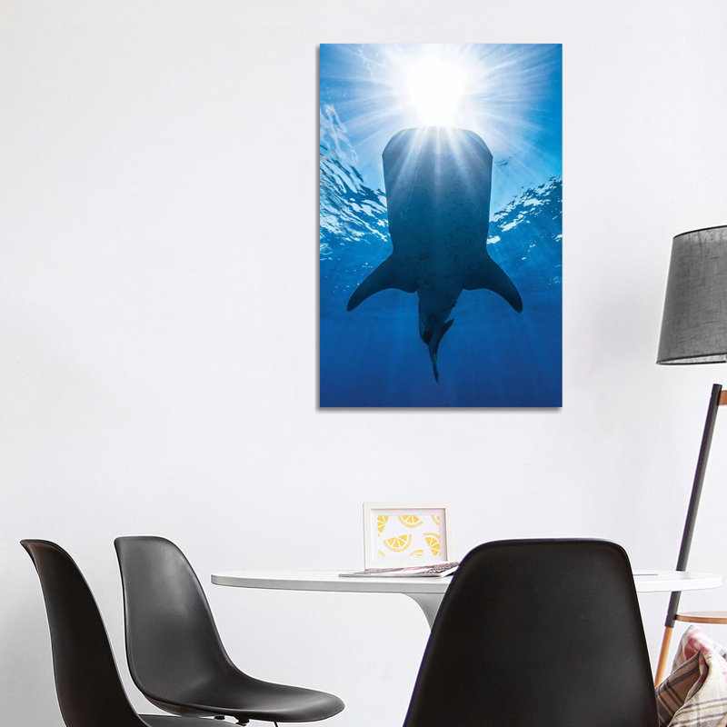 Whale Shark AndSun by Barathieu Gabriel - Wrapped Canvas Print, 101.6 cm H x 66.04 cm W x 1.91 cm D