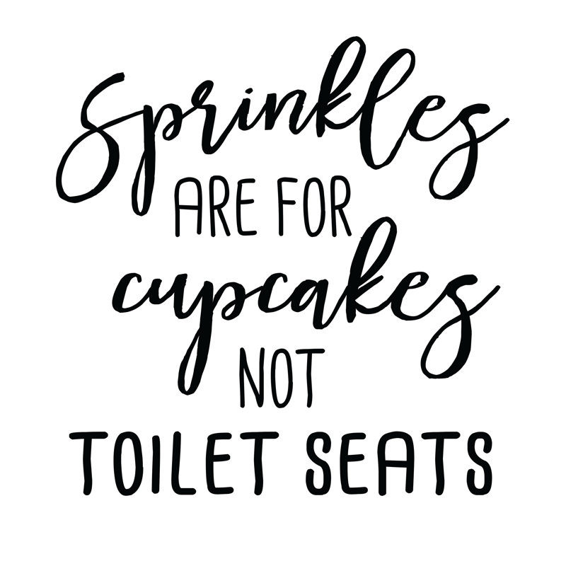 Sprinkles Are For Cupcakes Not Toilet Seats - Wrapped Canvas Print, 91cm H x 91cm W x 3.8cm D