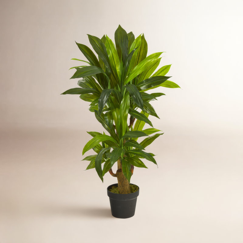 Plante artificielle en pot, H 36 po x l 12 po x P 12 po
