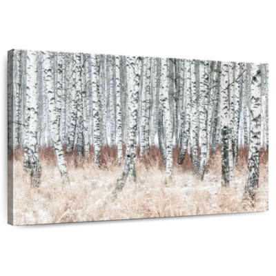 Harnek Winter Season Birch Forest