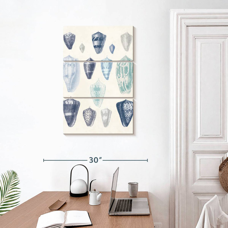 Assortiment Aletra Blue Shell I