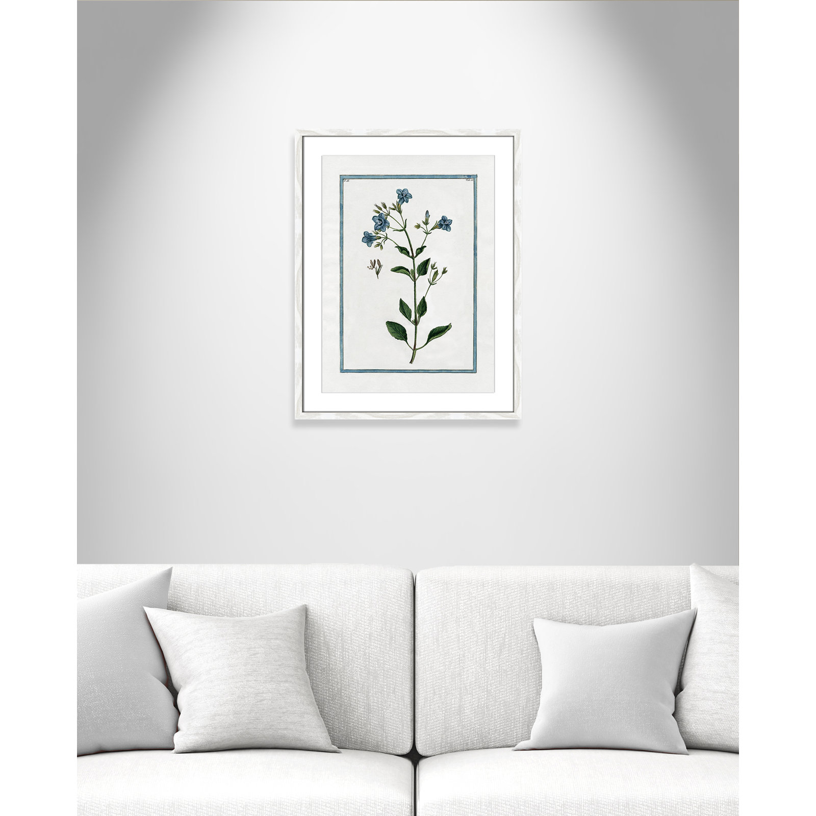 Shabby Elegance Botanical II - Framed Art, 17" W x 23" H, White Framed