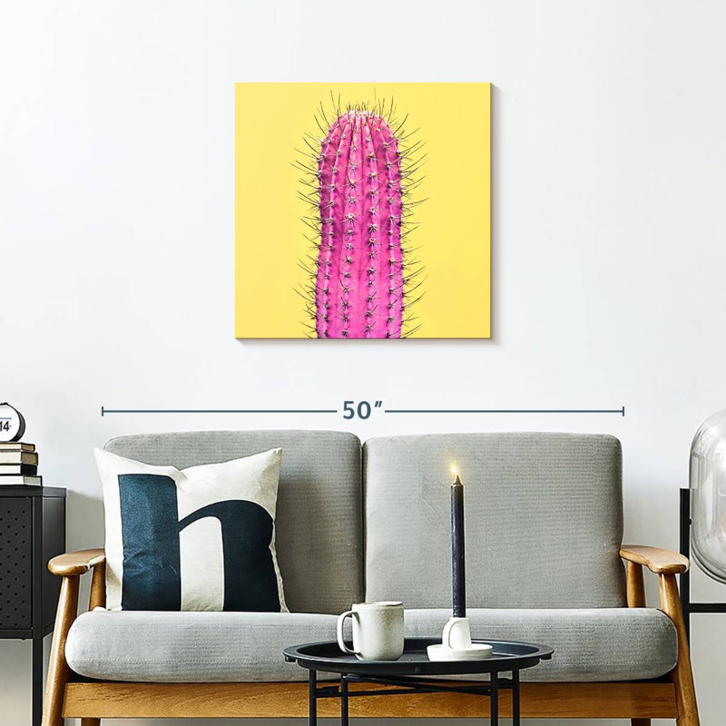 Harnek Spiny Pink Cactus, 24" H x 24" W