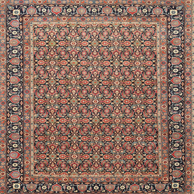 Oriental Indoor Rug