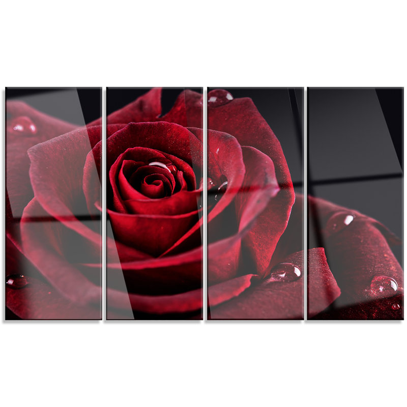 «Red Rose with Raindrops on Black», ensemble de 4 impressions sur toiles tendues