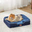 Lit orthopédique pour chien, canapé-lit lavable imperméable avec housse amovible, base antidérapante pour chiens de grande et moyenne taille-113294264-113294269