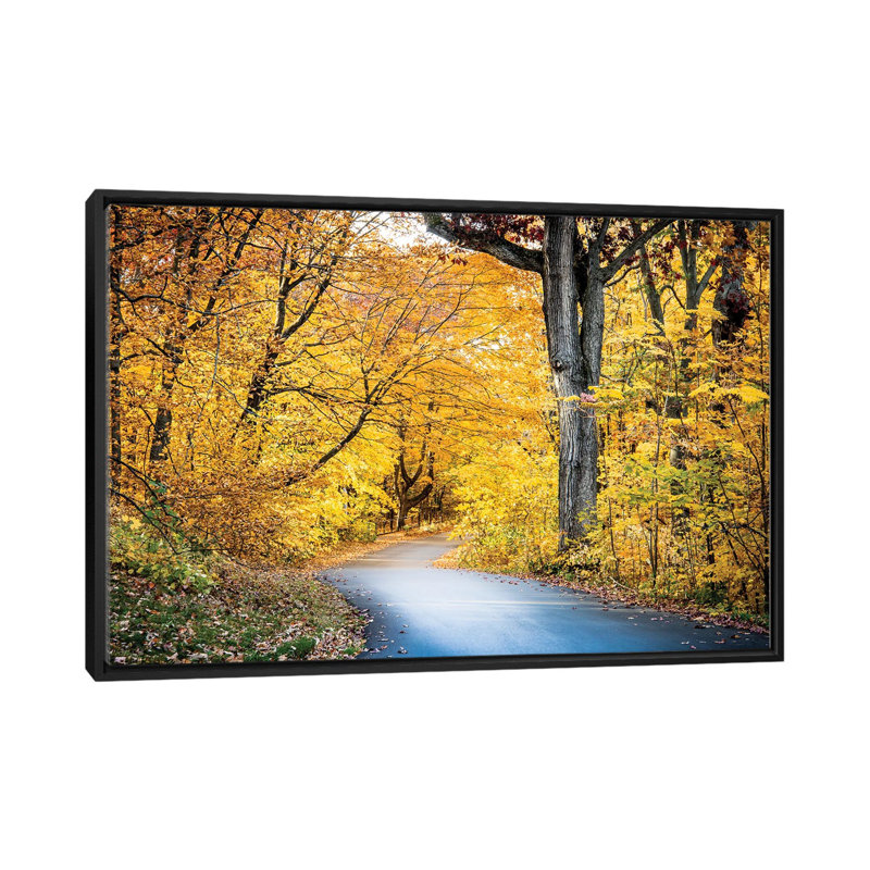 «Autumn's Embrace On 3 Mile Drive», reproduction d'art sur toile encadrée, H 18 po x l 26 po, Noir