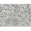 12" x 12" Marble Penny Round Mosaic Floor Use Tile