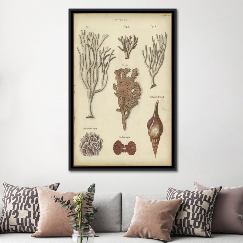 « éponge », impression sur toile, H 26 po x l 18 po x P 1,5 po, Toile avec cadre noir, Pas de tapis