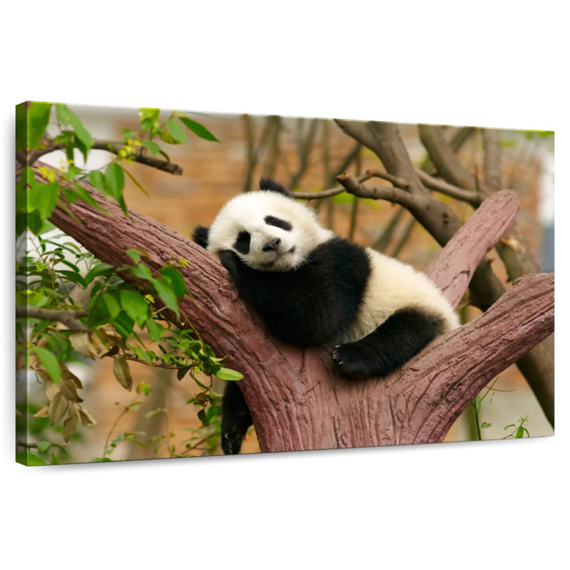 Brampt Sleepy Baby Panda