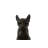 Animals Figurines & Sculptures