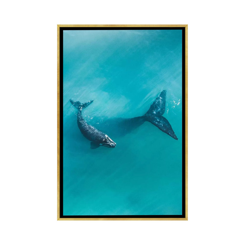 Peaceful Whales II par Jon Wassom - impression d'art graphique, H 40 po x l 26 po x P 1,5 po, Toile encadrée d'or, Aucun mat