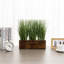 34.04cm Faux Onion Grass Grass