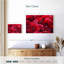 Harnek dahlia en fleurs-108913682