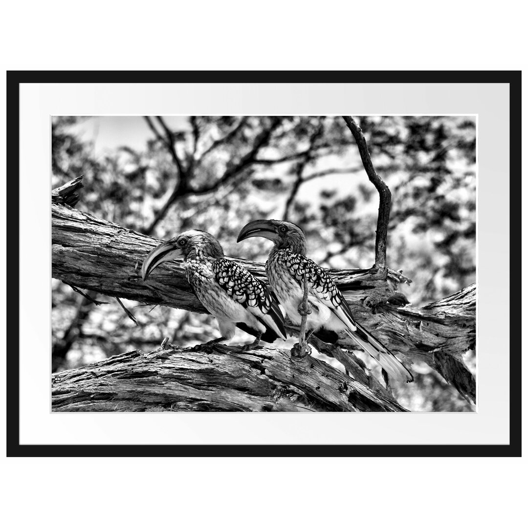 Gerahmtes Poster Exotische Vögel auf einem Baum