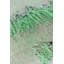 Repose-pieds Bernina-1383007078