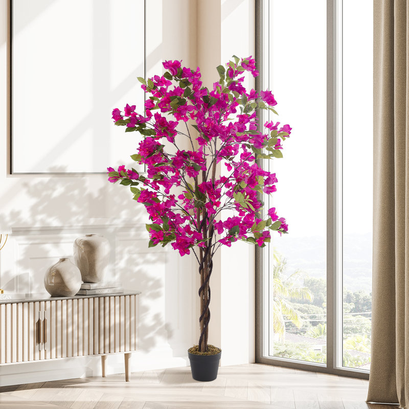 150cm Plant