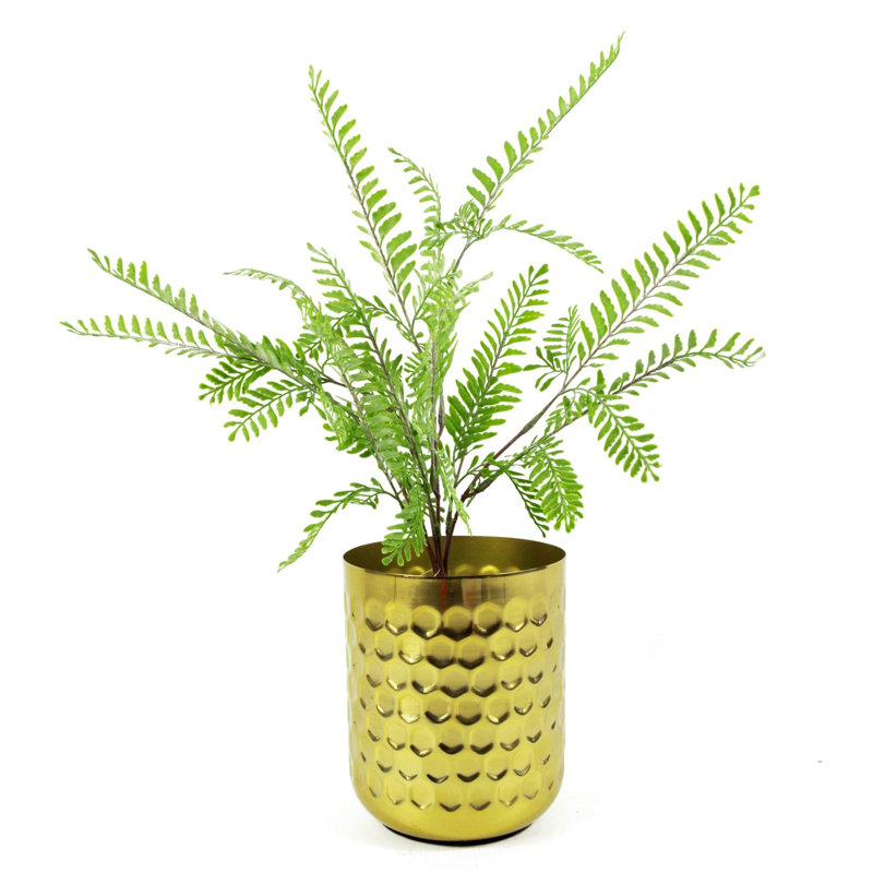 Andwele Arrangement, Green