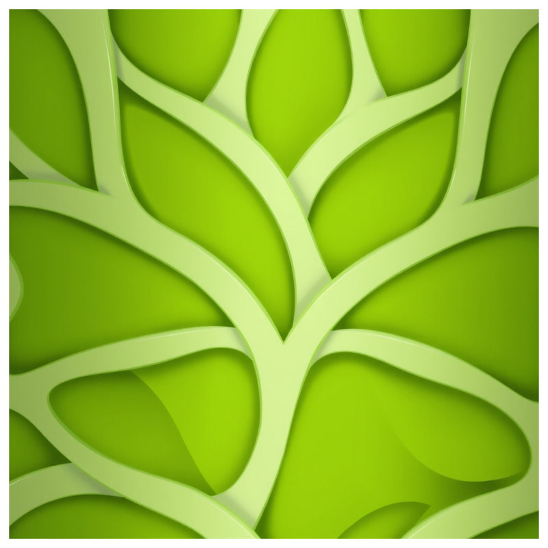 Leaf Pattern Green Canvas Gallery Wrap in Many Sizes, 12 x 12 inches