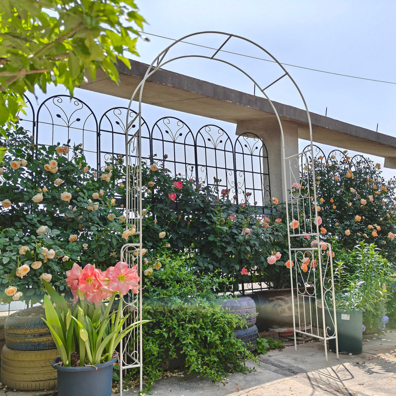 Support en métal pour arche de jardin, Blanc, crème