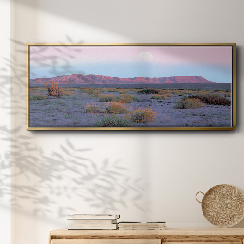 «Vallenar Atacama Desert», toile encadrée, H 8 po x l 20 po