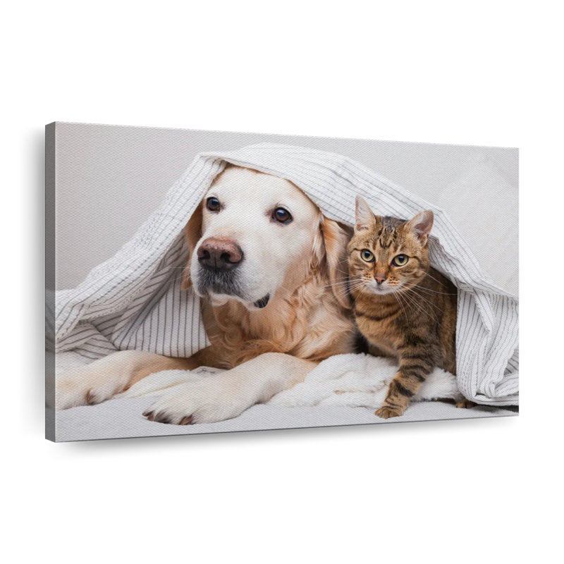 Chien et chat douillet sur toile, H 20 po x l 30 po x P 1,25 po
