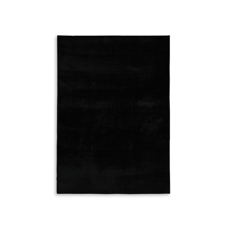 Chaniya Washable Indoor Rug, Rectangle 5' x 7'