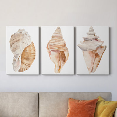 " Seashell I " 3 - Pieces Painting Print