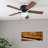 Alvina 42" Ceiling Fan