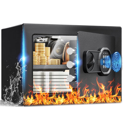 Safe Box Biometric