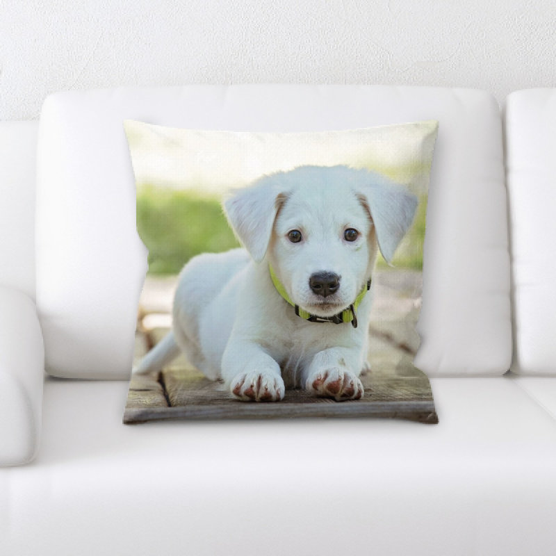 Coussin chiot