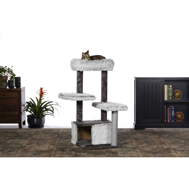 Condo dépolie 43" kitty power pattes Hearns