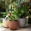Pot Planter-67026376