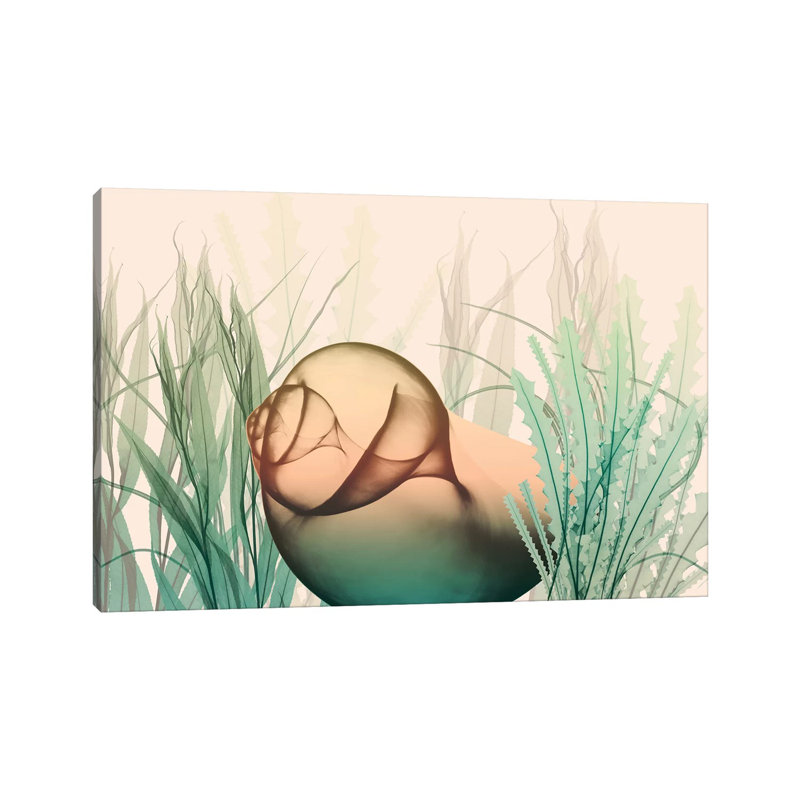 Underwater Dawn II by Albert Koetsier - Wrapped Canvas Print, 20.32 cm H x 30.48 cm W