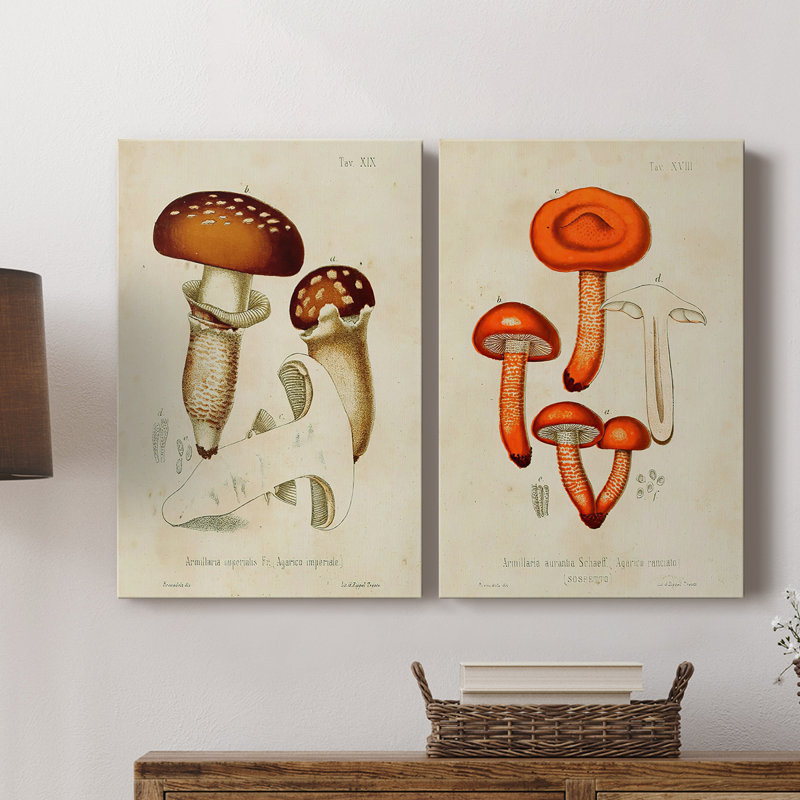 Mushroom Variétés III - Toile tendue avec châssis de qualité supérieure - Prêt à être accroché