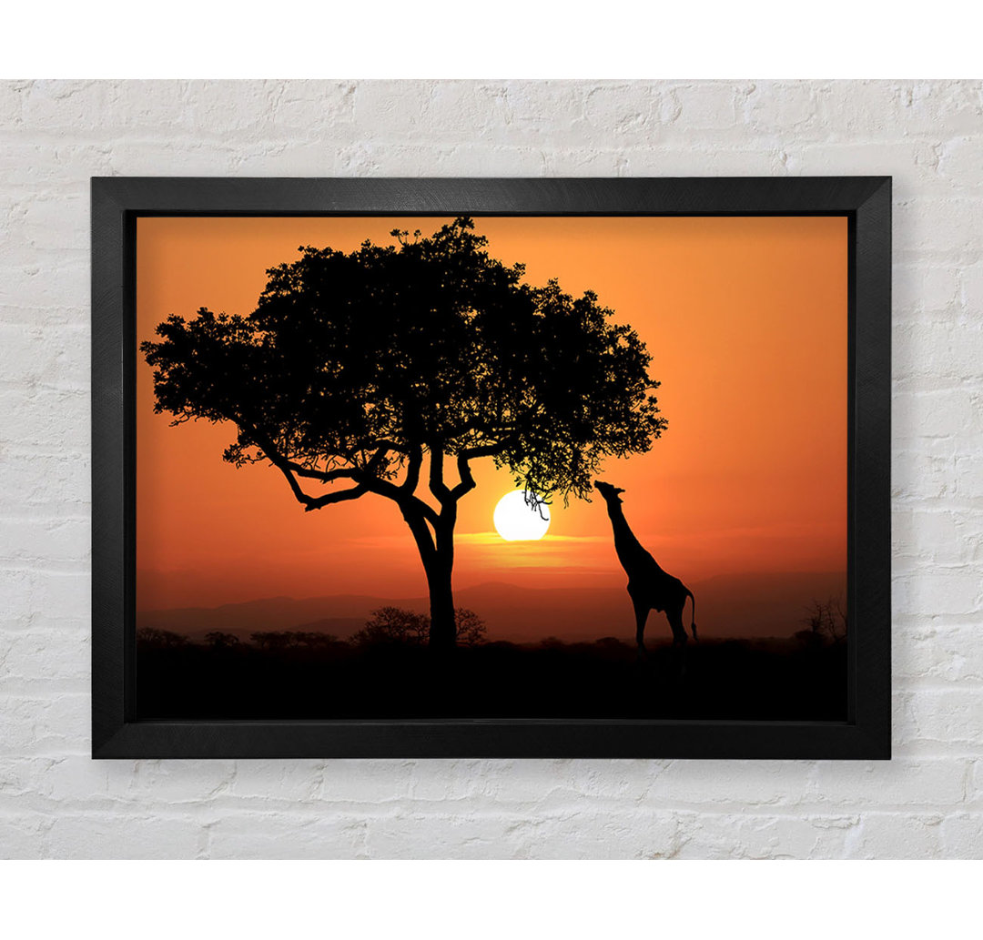 Gerahmtes Bild Giraffe Safari Sunset