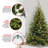 6ft. Kincaid Spruce Tree with Clear Lights