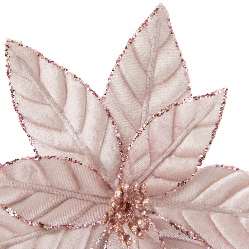 Tiges de poinsettia, Rose