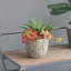 Pot à fleurs en ciment Berube-977347527