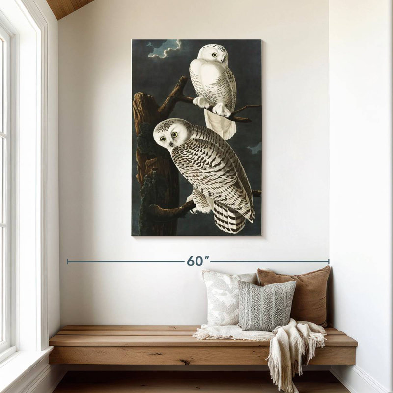 Brampt Snowy Owls, 45" H x 30" W