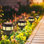 Satin Black Solar Powered Integrated LED Pathway Light Kit