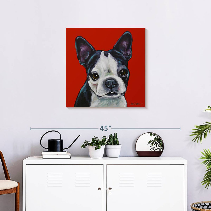 Brampt Sophie Boston Terrier sur fond rouge, H 24 po x l 24 po