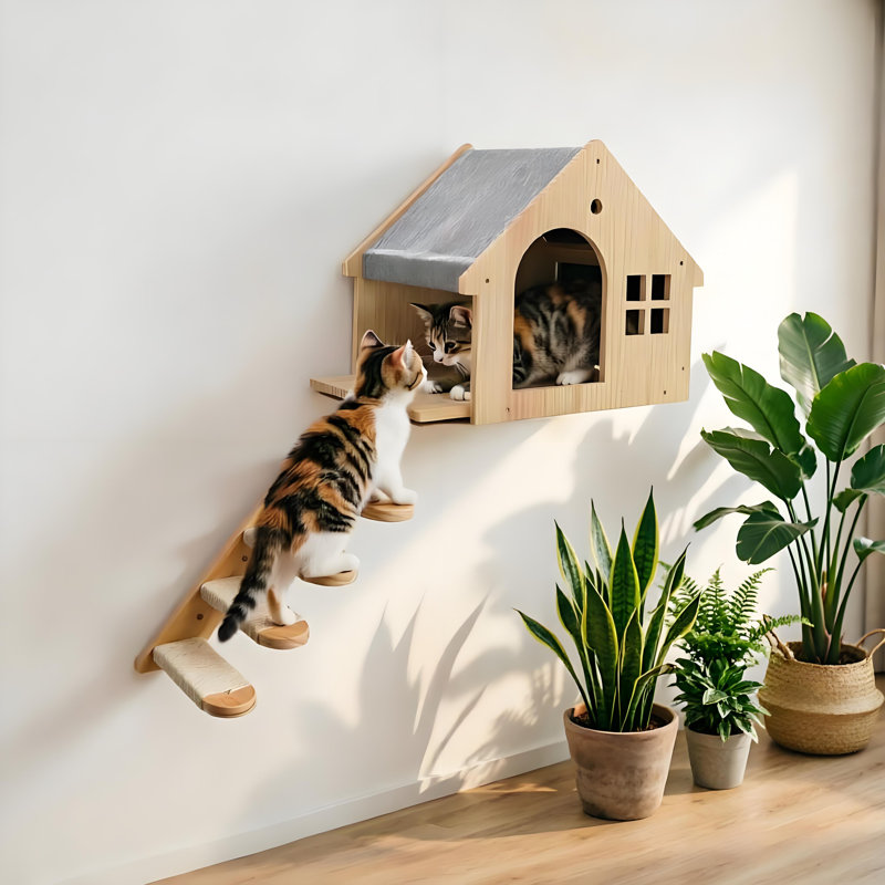Chat qui monte un escalier avec une maison