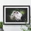 Macaque Monkey - Picture Frame Graphic Art-62802277-62802280