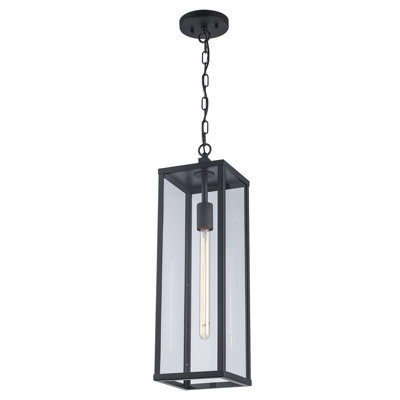 Iddings Outdoor Hanging Lantern