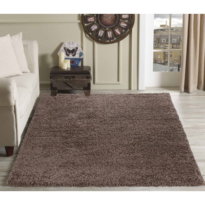 Esterly Shaggy Brown Rug