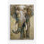 «Summer Safari Elephant», reproduction sur toile-26230471