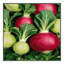  Tapis lavable avec légumes chou-rave-1893669316