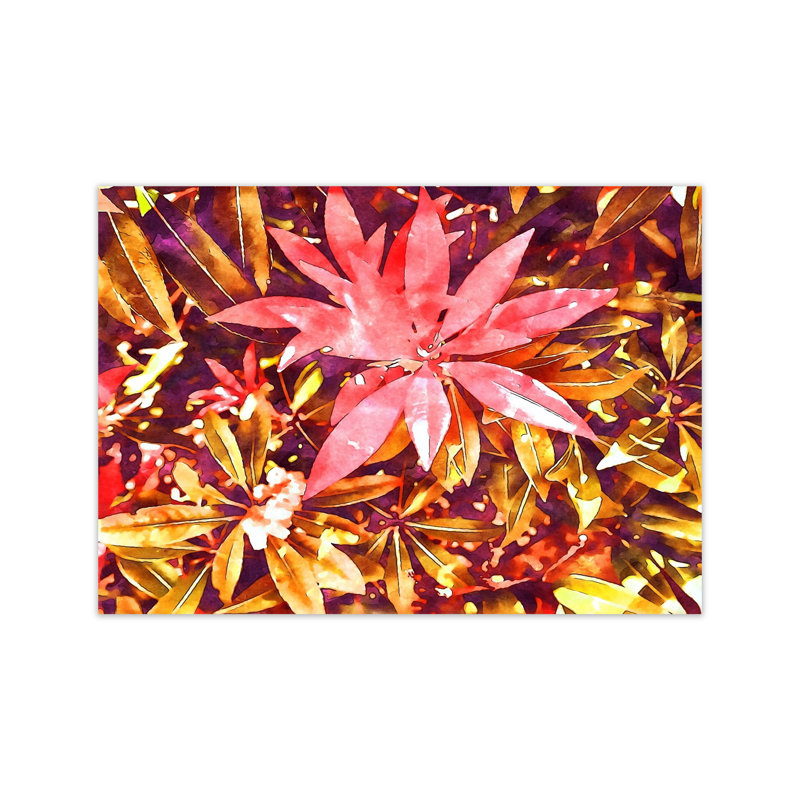 Autumnal Flowers - Print on Canvas, Unframed, 30cm H x 42cm W x 1cm D